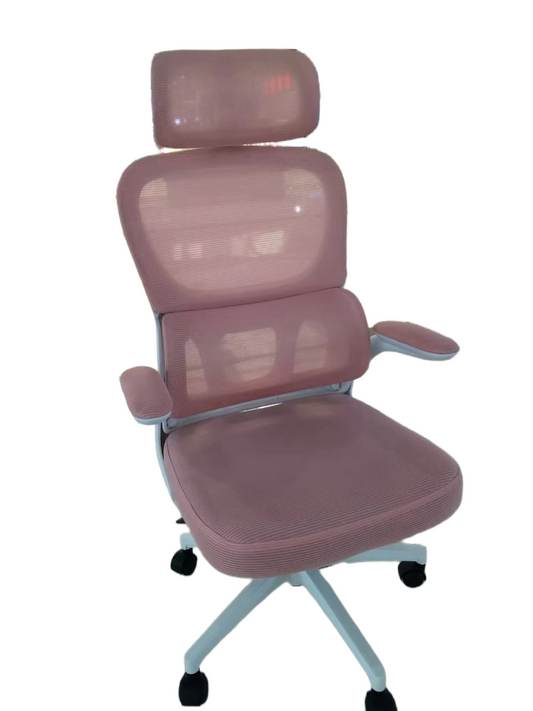 Ergonomic office chair with breathable mesh back and adjustable headrest, featuring lumbar support and 3D armrests, ideal for long hours of work in office or home settings. Suitable for bulk buyers sourcing directly from China.